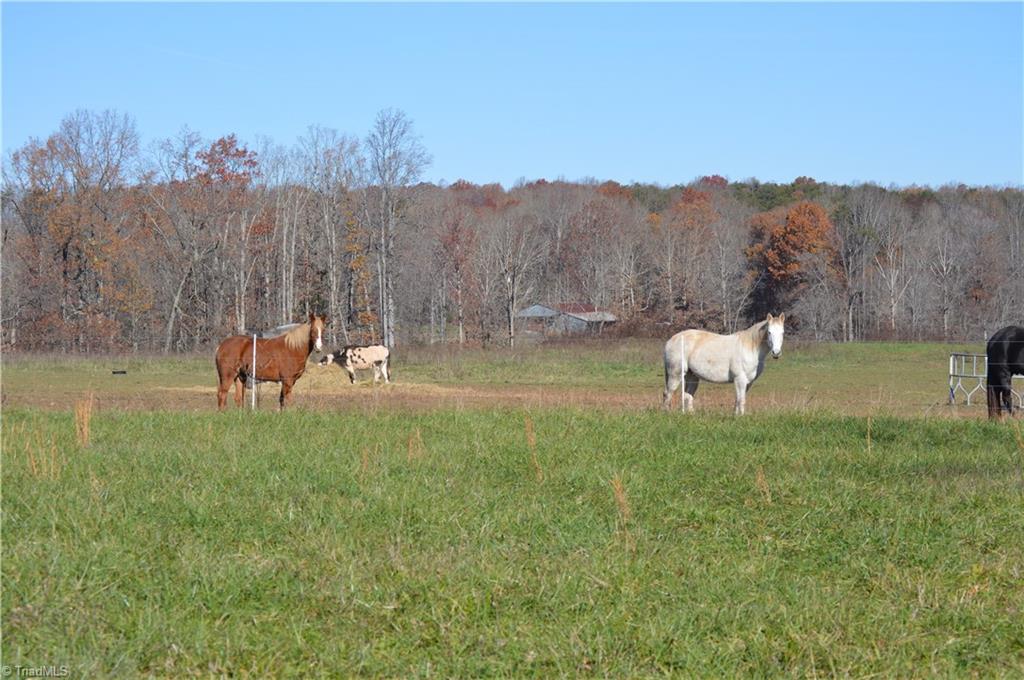 0 Ledbetter Road Mayodan, NC 27027 - Photo 1 of 21 Gallery Image 1