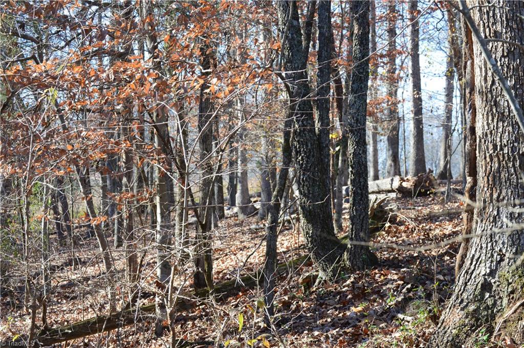 0 Ledbetter Road Mayodan, NC 27027 - Photo 16 of 21 Gallery Image 16