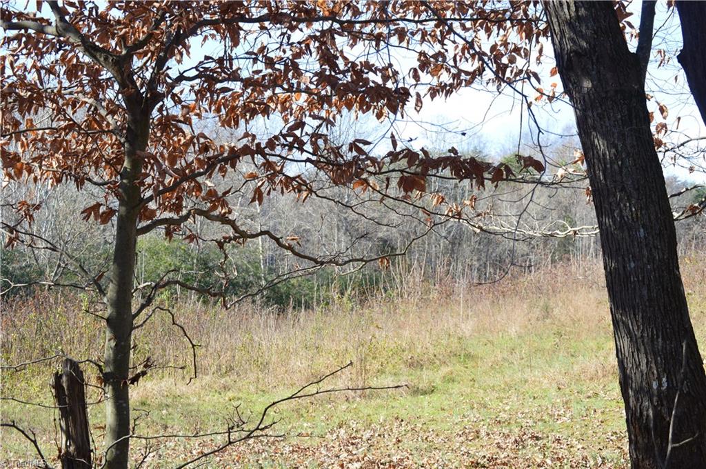 0 Ledbetter Road Mayodan, NC 27027 - Photo 20 of 21 Gallery Image 20