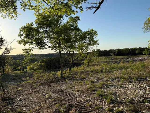 a view of a field with wooden fence and trees