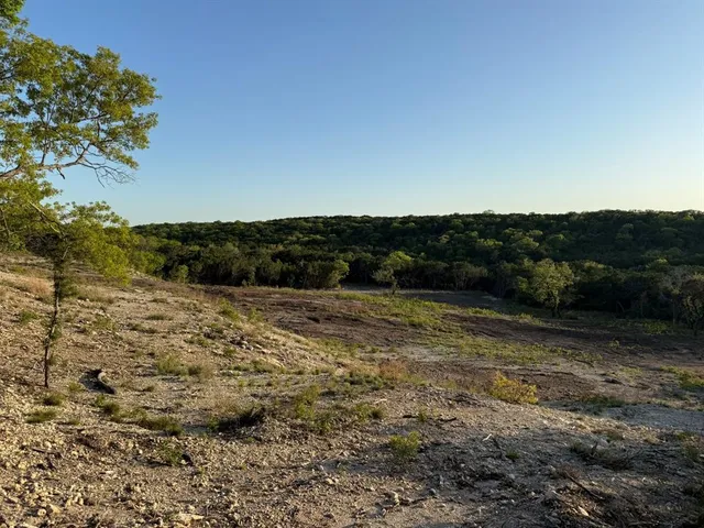 a view of mountain with trees