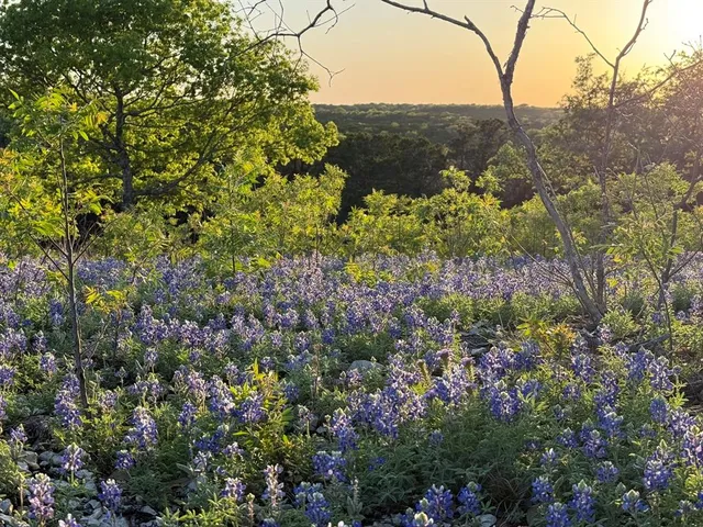 a view of a lake with a mountain