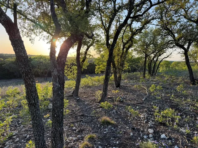 a view of backyard with green space