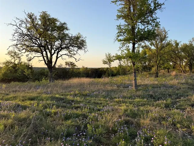 a view of a lake in middle of forest