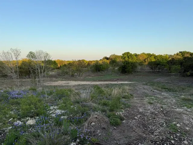 a view of a yard with a tree