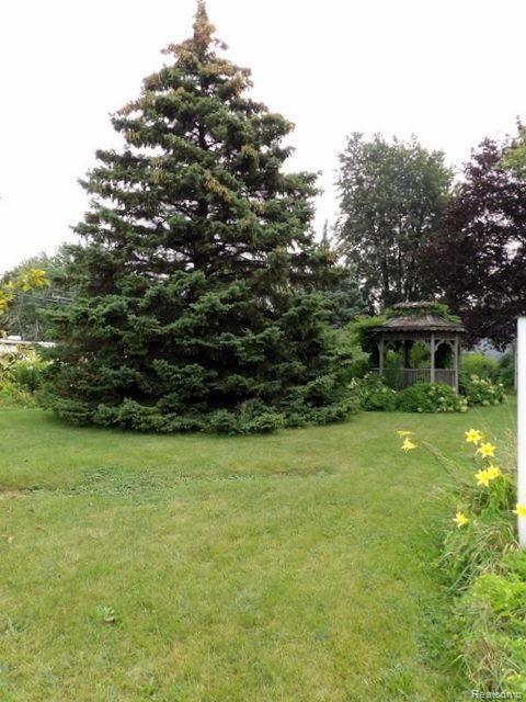 25528 Ecorse Road Taylor, MI 48180 - Photo 20 of 55 YARD VIEW!
