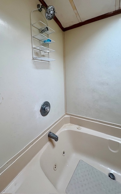 21-244 Woodhaven Sublette, IL 61367 - Photo 28 of 28 a bathroom with a tub