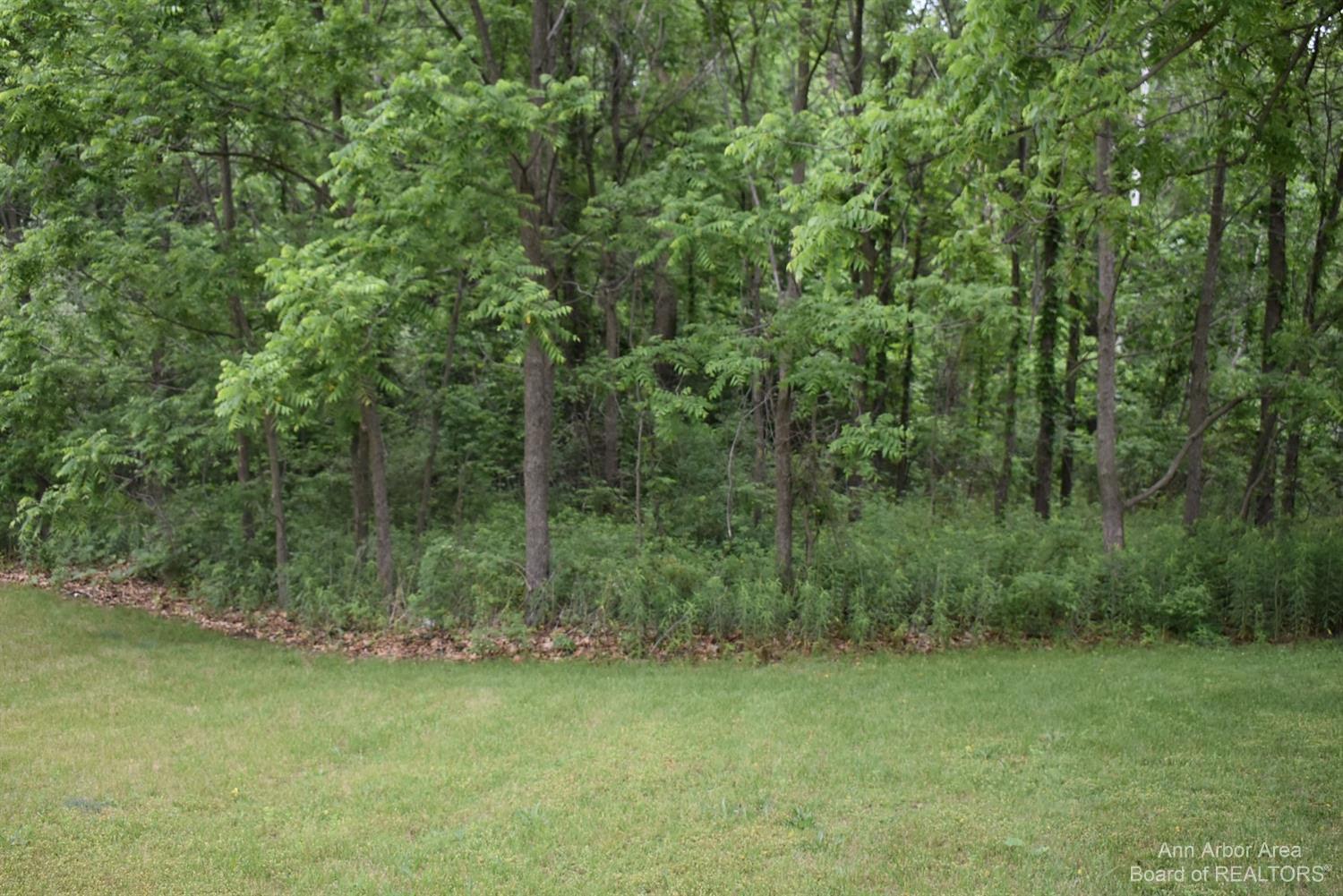 13052 Allison Road Milan, MI 48160 - Photo 38 of 42 Photo 38
