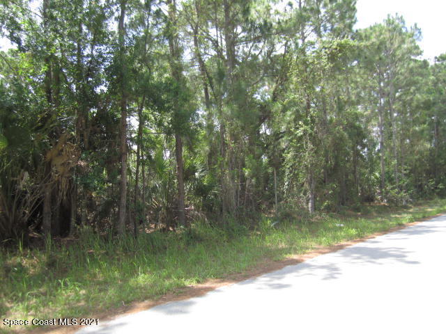 950 Pandora Road Southeast Palm Bay, FL 32909 - Photo 2 of 9 IMG_2586