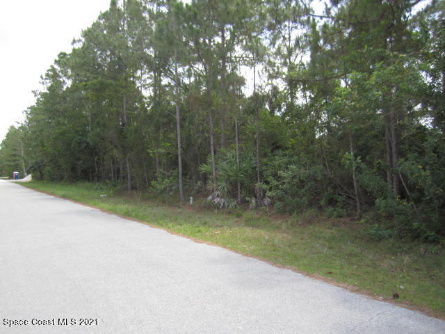 950 Pandora Road Southeast Palm Bay, FL 32909 - Photo 4 of 9 IMG_2588