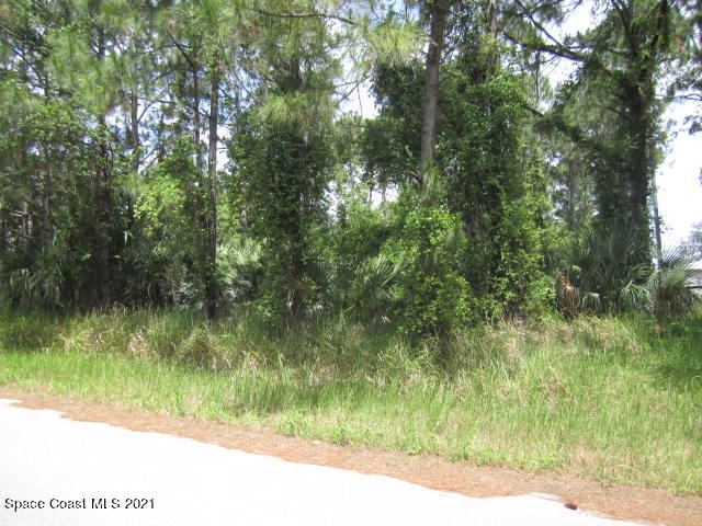 950 Pandora Road Southeast Palm Bay, FL 32909 - Photo 8 of 9 IMG_2592