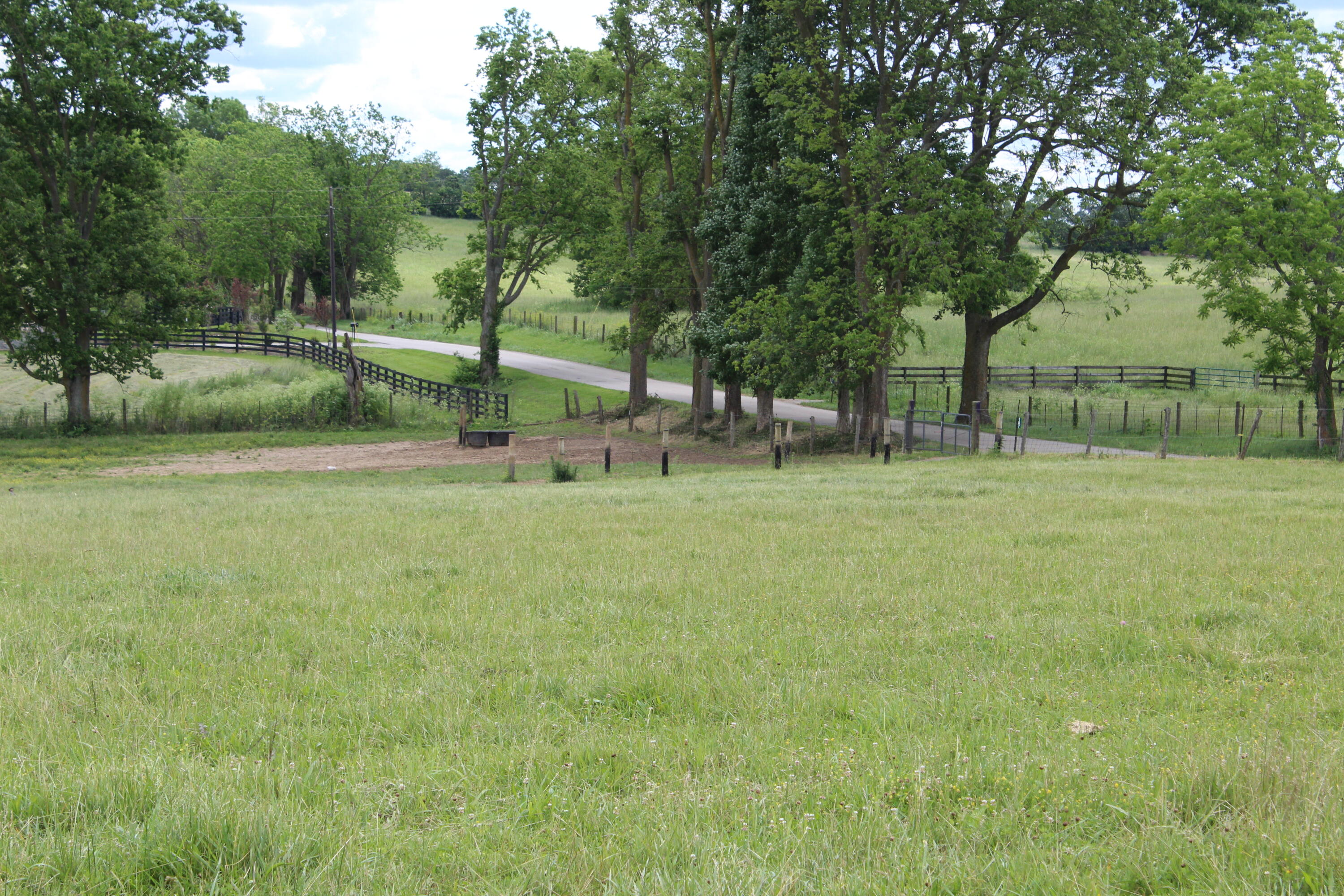 187 Jackstown Road Paris, KY 40361 - Photo 13 of 18 IMG_2804