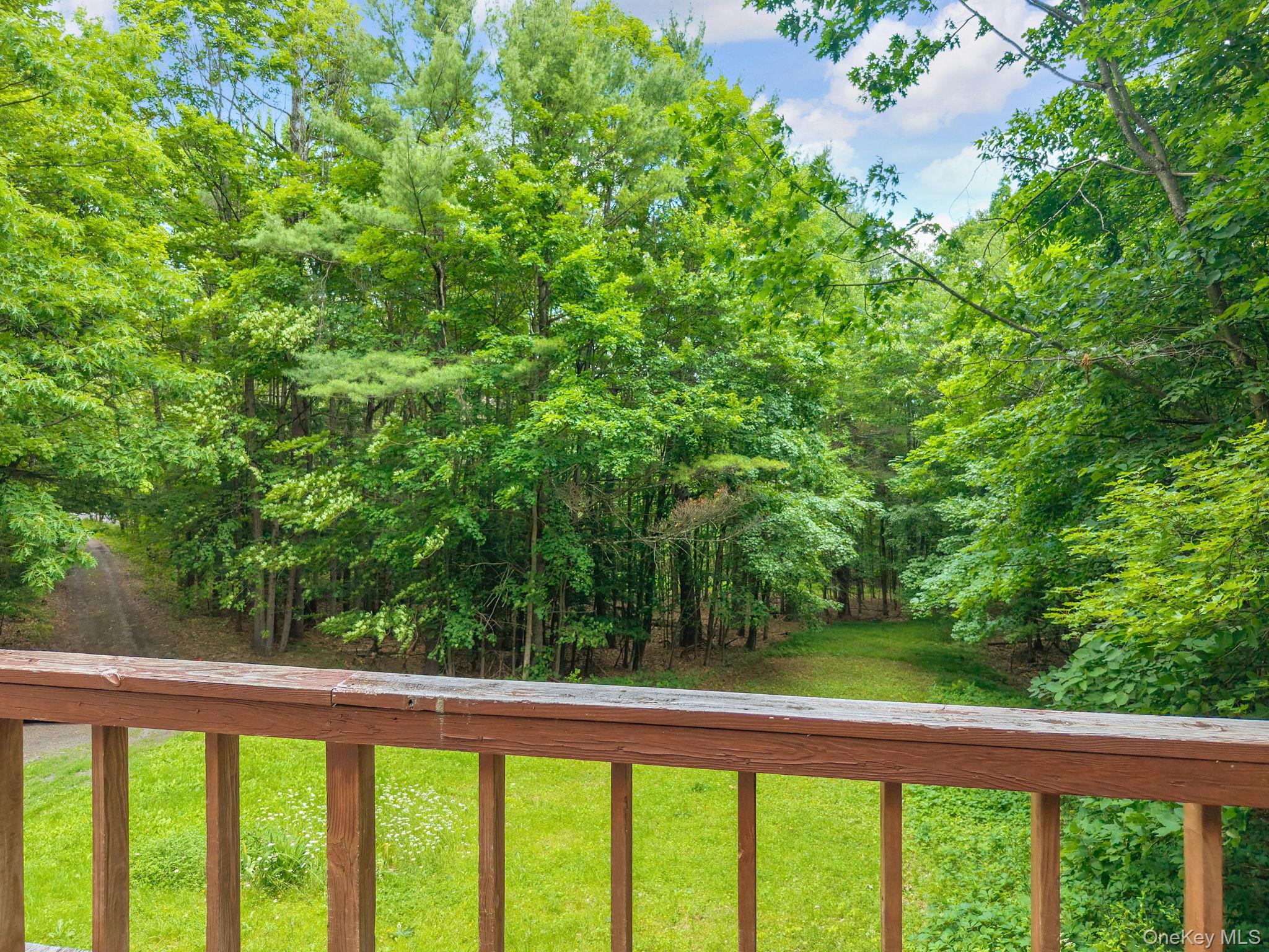 468 Treadlemire Road Berne, NY 12023 - Photo 32 of 44