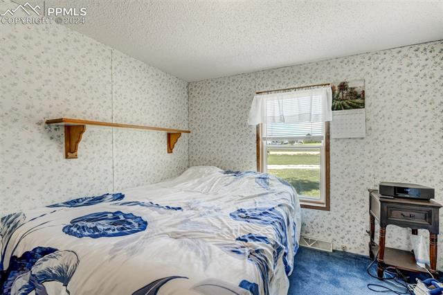 5845 Peerless Farms Road Peyton, CO 80831 - Photo 31 of 50 Bedroom featuring carpet flooring and a textured ceiling