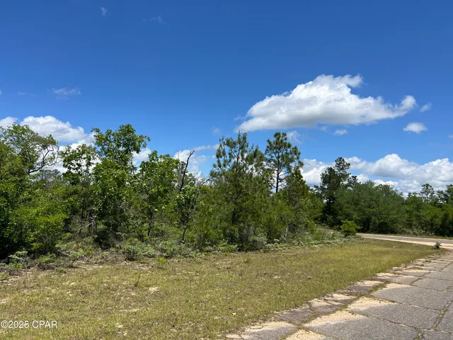 $11,500 | 0 Millwood Place, Chipley, FL 32428