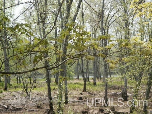 W9221 Snakey Lake Rd Lake Lake, MI 48632 - Photo 20 of 24