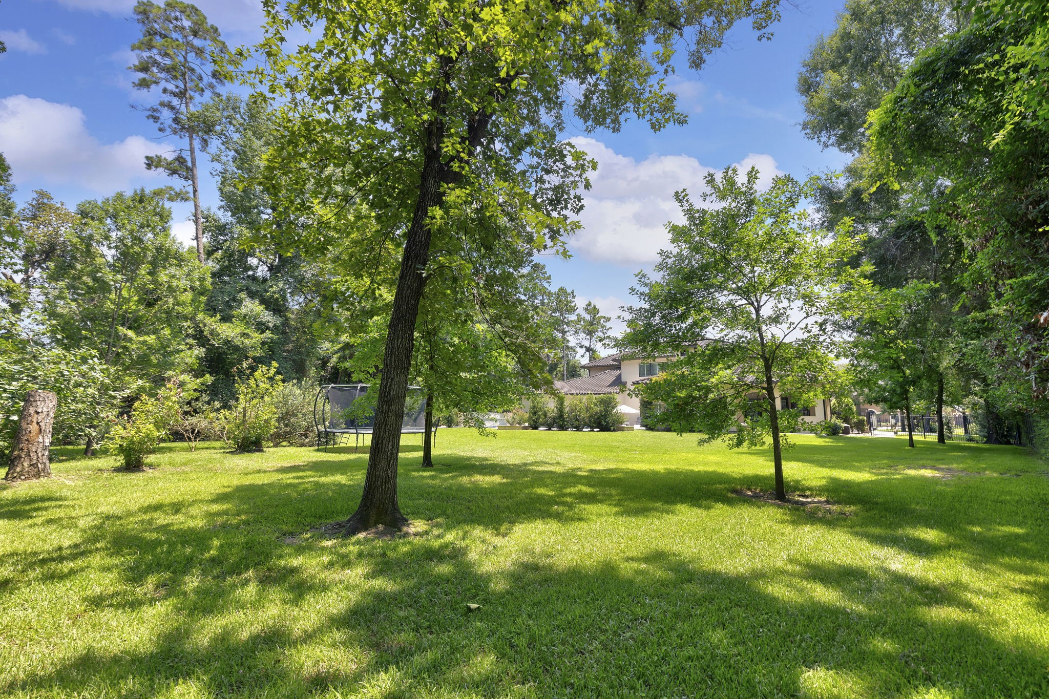 4223 Maple Rapids Lane Spring, TX 77386 - Photo 44 of 45