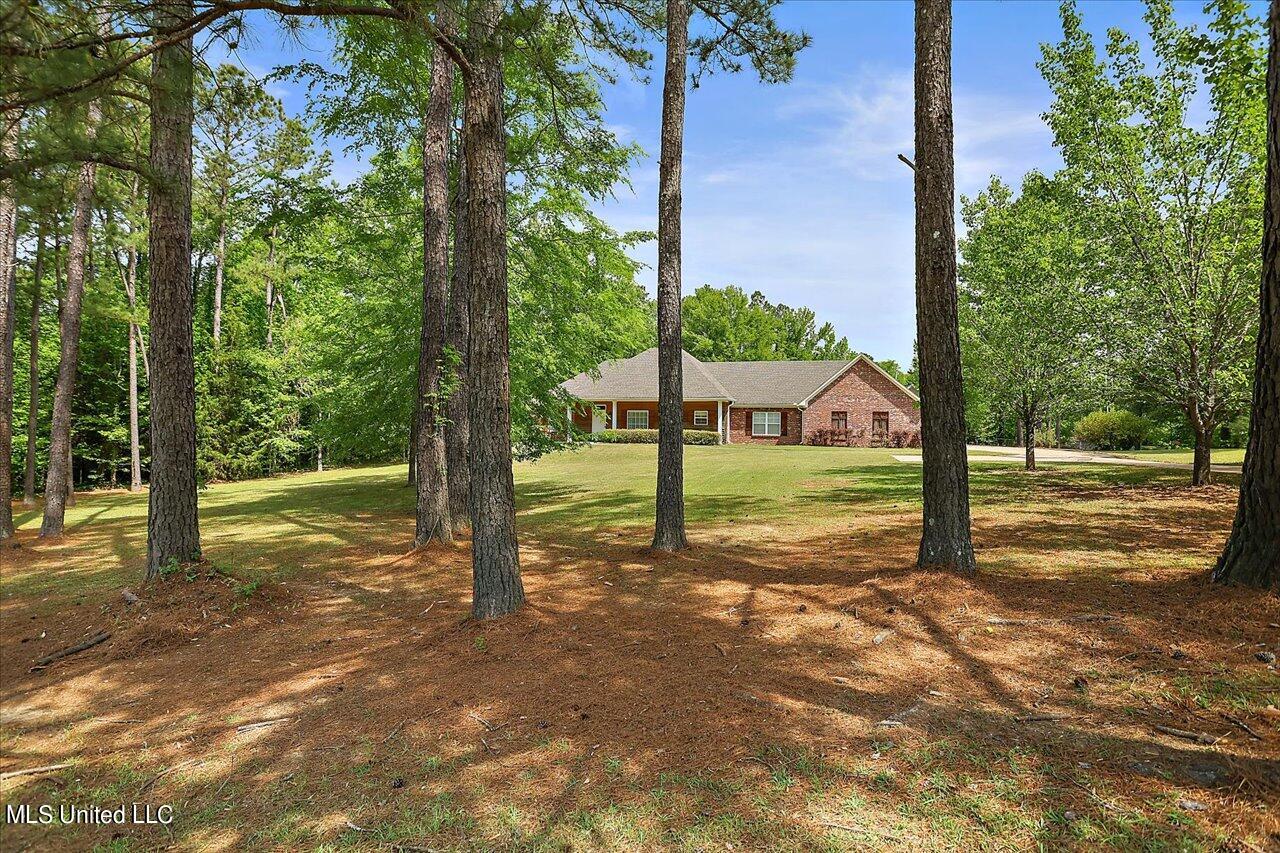 4200 Kimbell Road Terry, MS 39170 - Photo 2 of 62 02-4200 Kimbell Rd