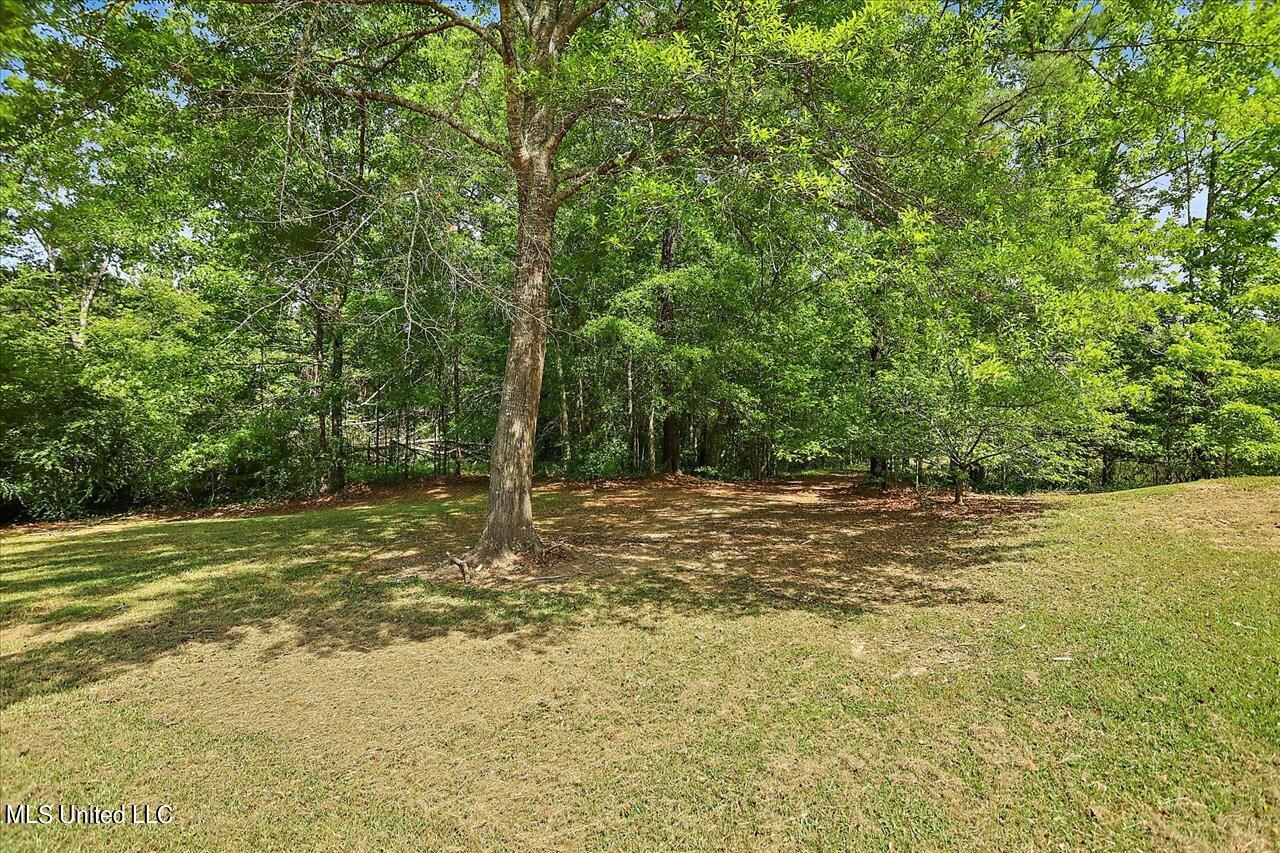 4200 Kimbell Road Terry, MS 39170 - Photo 41 of 62 41-4200 Kimbell Rd