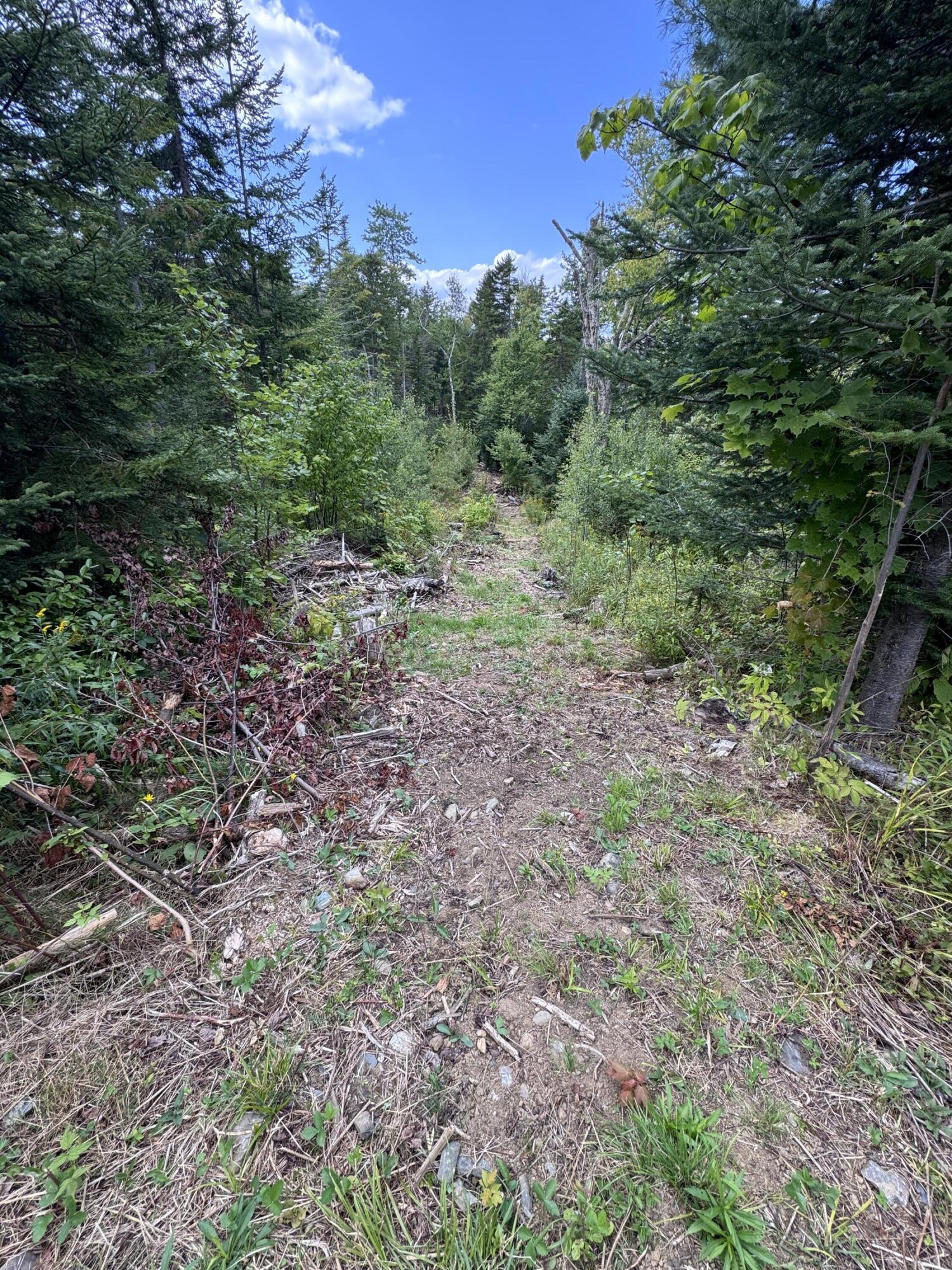 4 Map Sandy River Plt, ME 04970 - Photo 18 of 24 IMG_5312