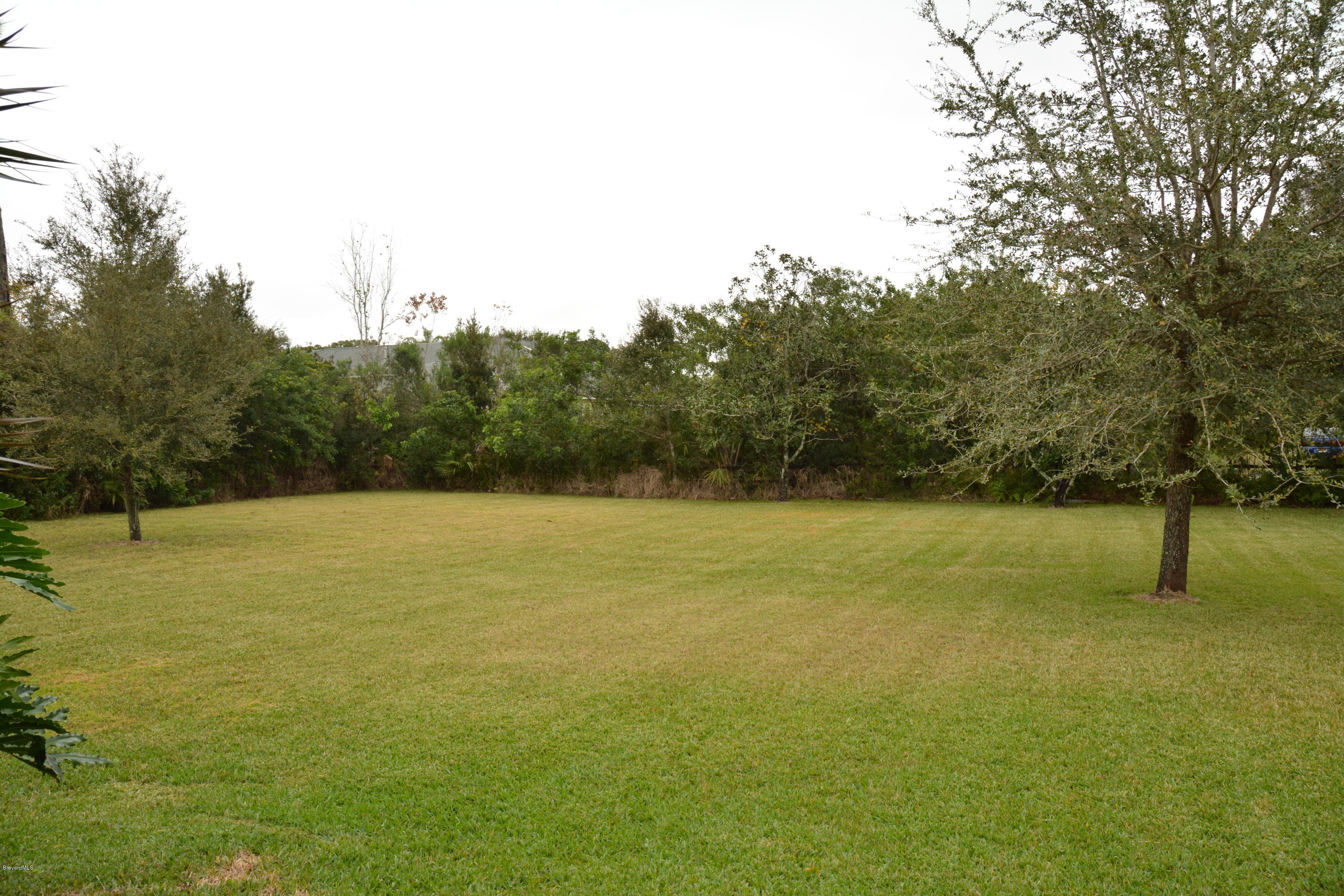 4533 Canard Road Melbourne, FL 32934 - Photo 23 of 38 HUGE BACKYARD