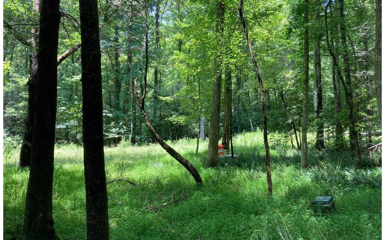 0 Friendship Church Road Murphy, NC 28906 - Photo 2 of 4 Additional View