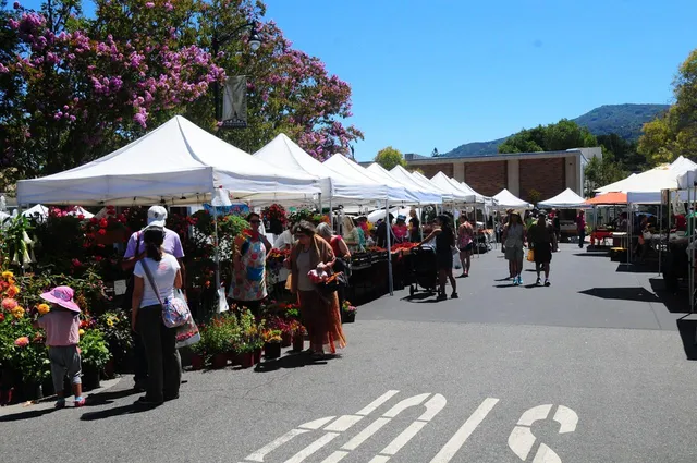 $1,900,000 | 22187 Old Santa Cruz Highway, Los Gatos, CA 95033