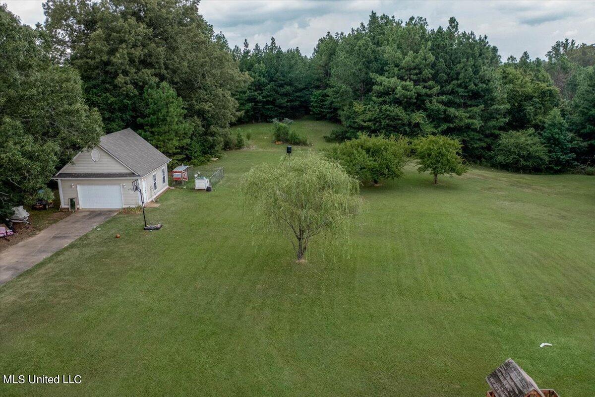 7340 Alphaba Road Coldwater, MS 38618 - Photo 15 of 46 15-Backyard