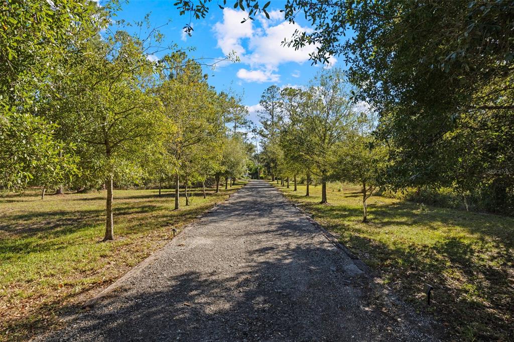 37810 Boyd Road Myakka City, FL 34251 - Photo 69 of 98
