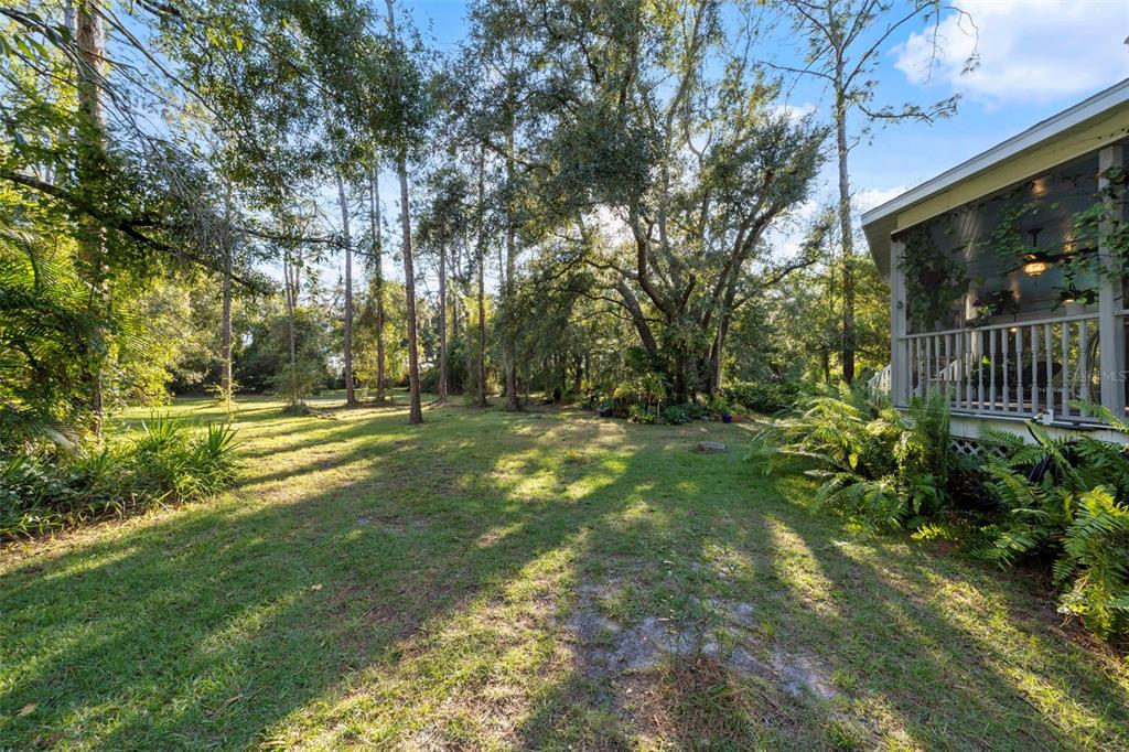 37810 Boyd Road Myakka City, FL 34251 - Photo 74 of 98 a view of outdoor space with deck and yard