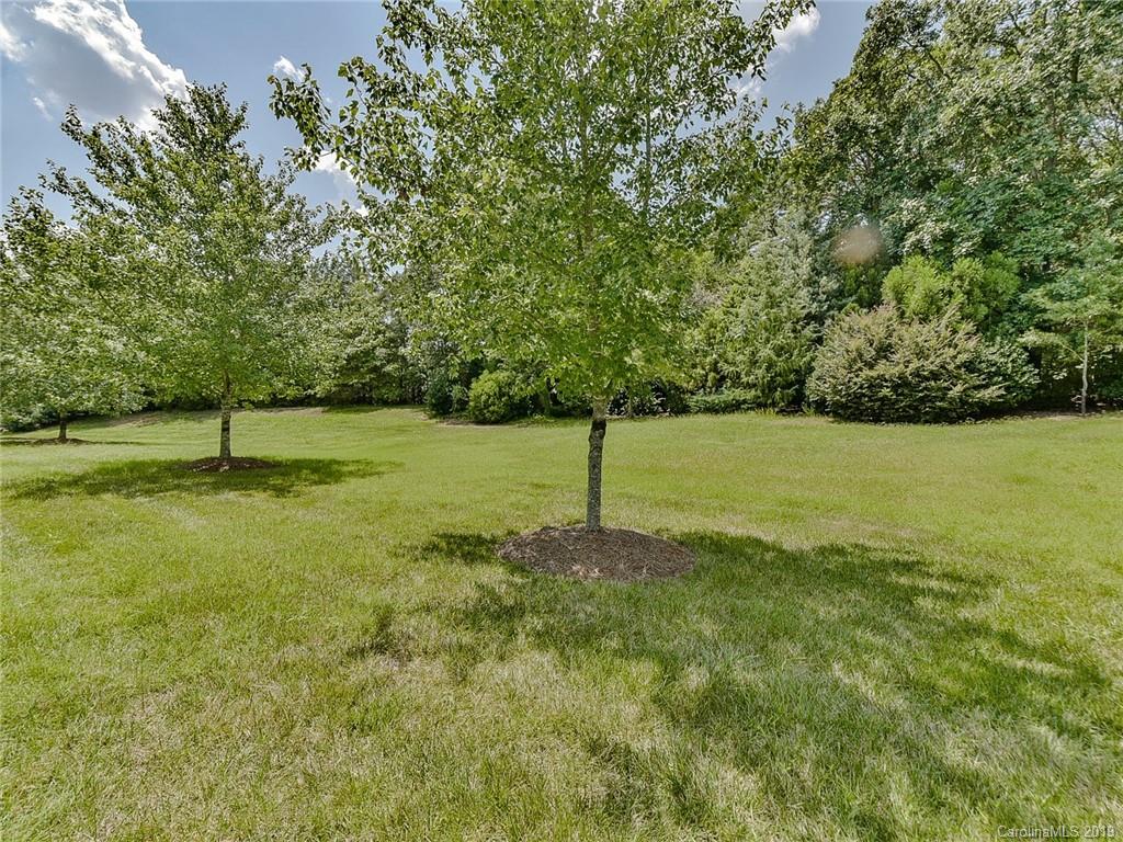 850 Platinum Drive Fort Mill, SC 29708 - Photo 43 of 47 a view of a field with a tree