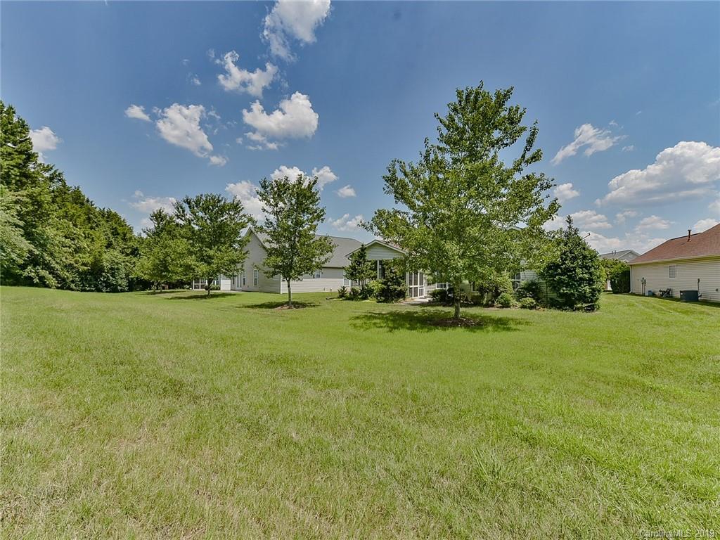 850 Platinum Drive Fort Mill, SC 29708 - Photo 45 of 47 a view of yard with green space