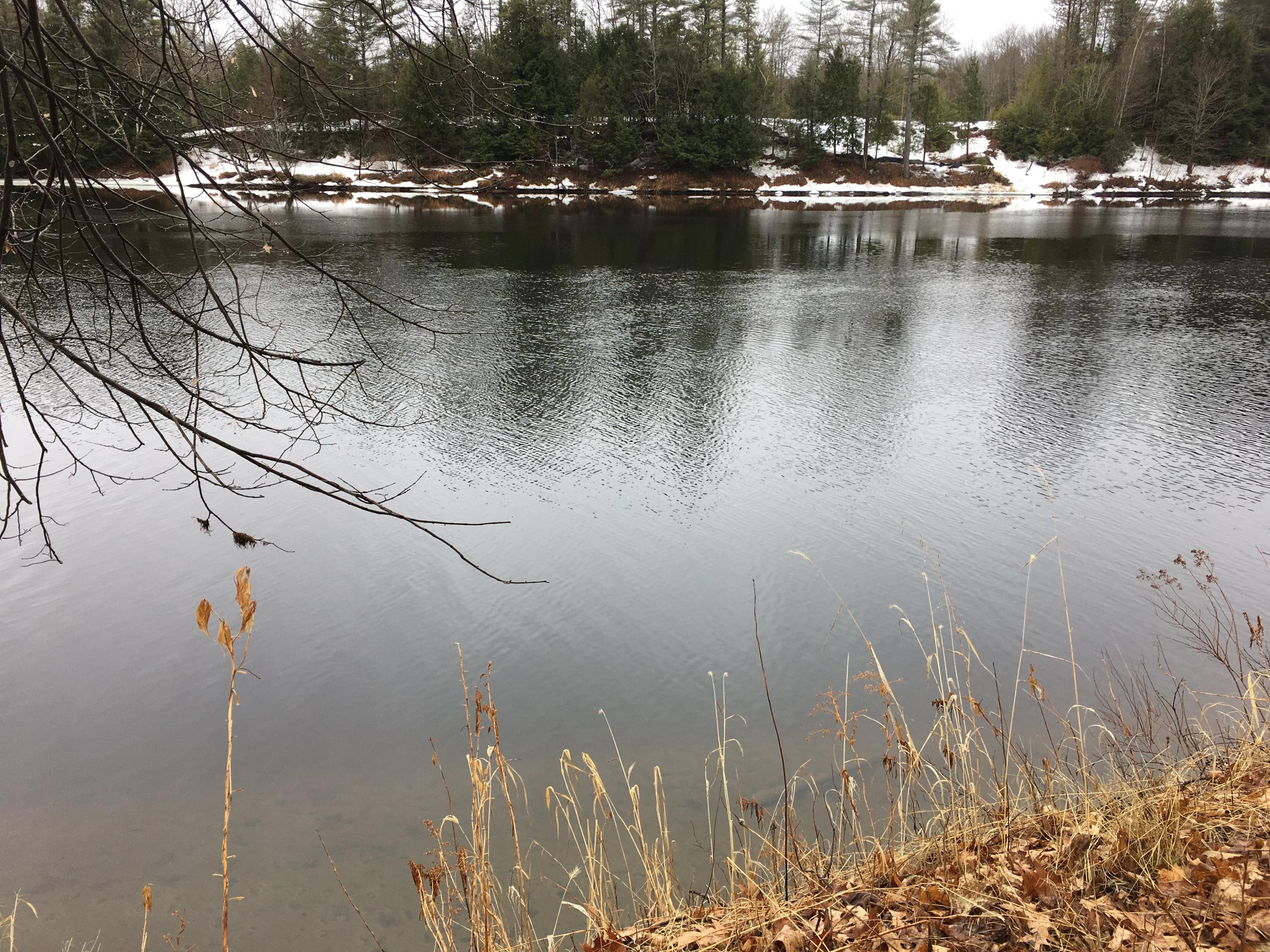 M6-l1-6 Father Rasle Road Norridgewock, ME 04957 - Photo 4 of 19 IMG-1465