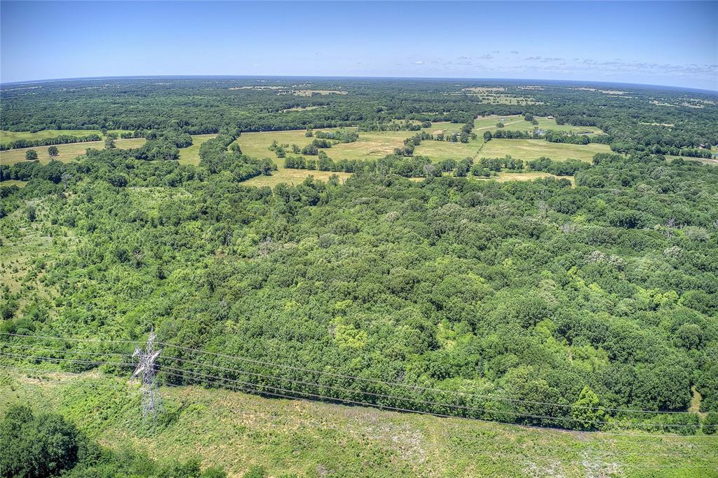3296 Farm Road 3236 Dike, TX 75437 - Photo 21 of 40 a view of a city with lush green forest