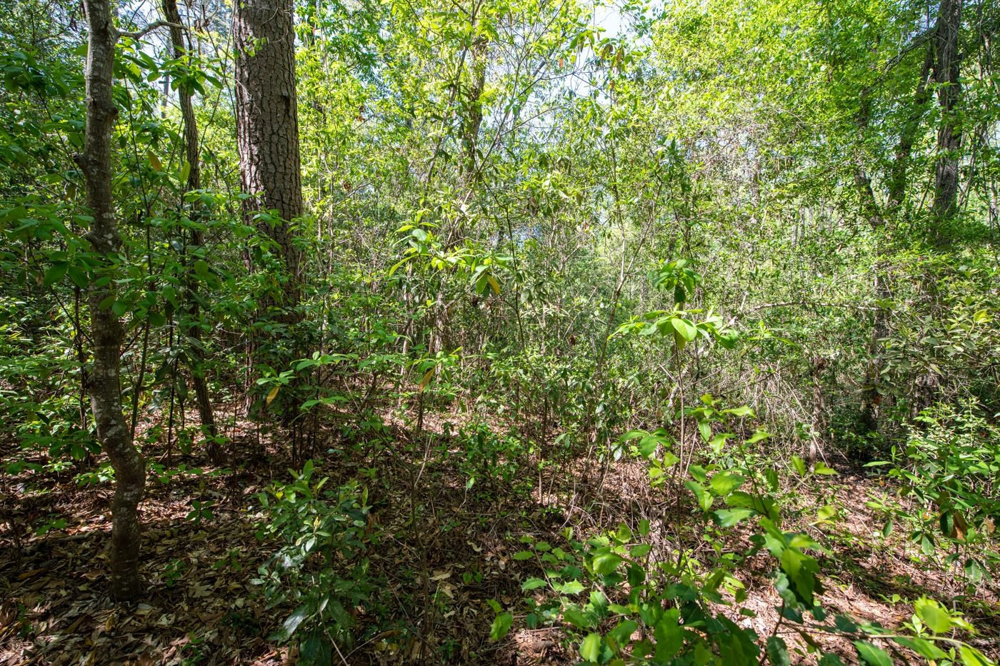 1 Yarborough Road Hope Mills, NC 28348 - Photo 10 of 10 Photo 10