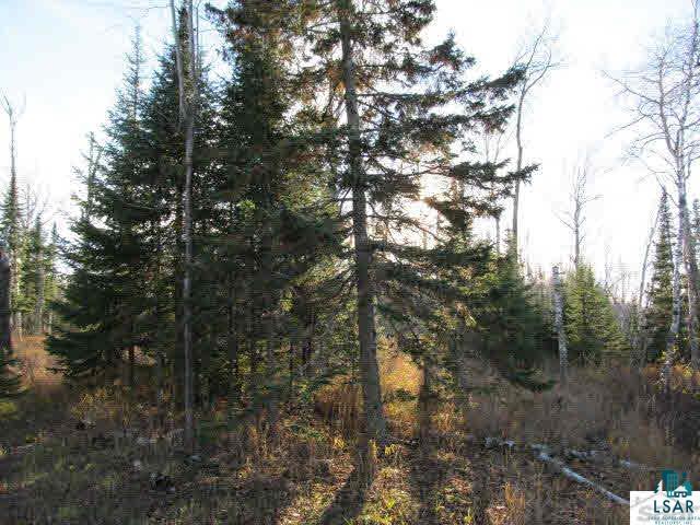 Mountain Ash Road Herbster, WI 54844 - Photo 22 of 25 Gallery Image 22