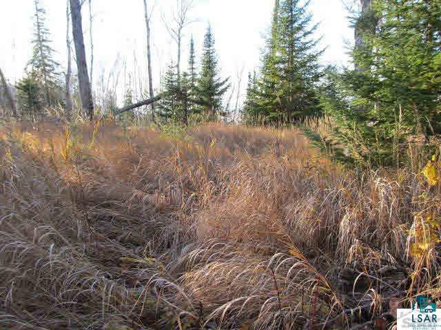Mountain Ash Road Herbster, WI 54844 - Photo 23 of 25 Gallery Image 23