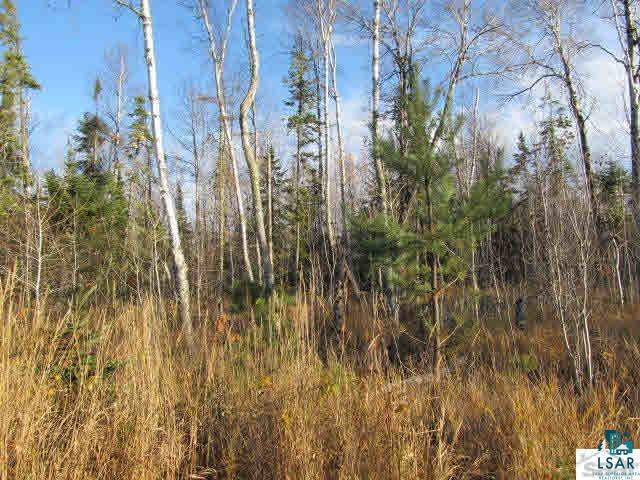 Mountain Ash Road Herbster, WI 54844 - Photo 24 of 25 Gallery Image 24