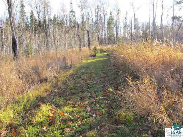 Mountain Ash Road Herbster, WI 54844 - Photo 25 of 25 Gallery Image 25