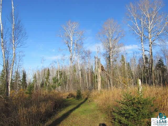 Mountain Ash Road Herbster, WI 54844 - Photo 8 of 25 Gallery Image 8