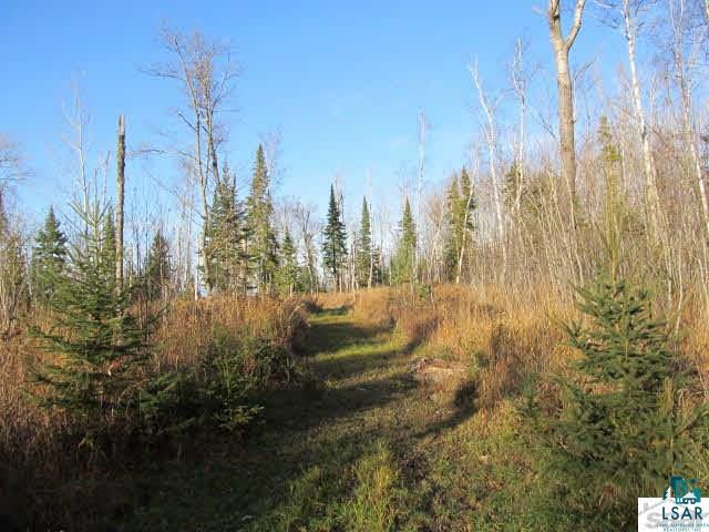 Mountain Ash Road Herbster, WI 54844 - Photo 9 of 25 Gallery Image 9