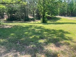 3753 Shiloh Road Courtland, MS 38620 - Photo 15 of 16 side yard