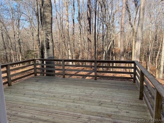 11703 Mitchell Road Saluda, VA 23149 - Photo 22 of 24 Gallery Image 22