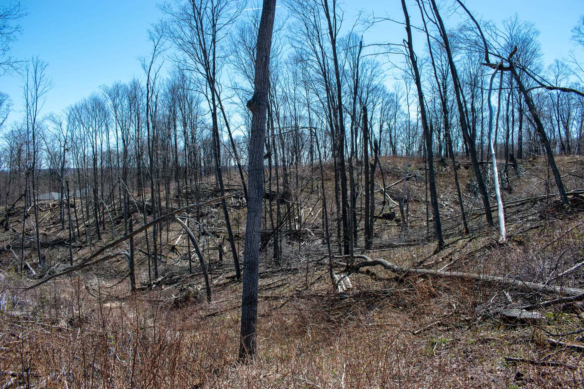 0 East Smiseth Road Suttons Bay, MI 49682 - Photo 28 of 67