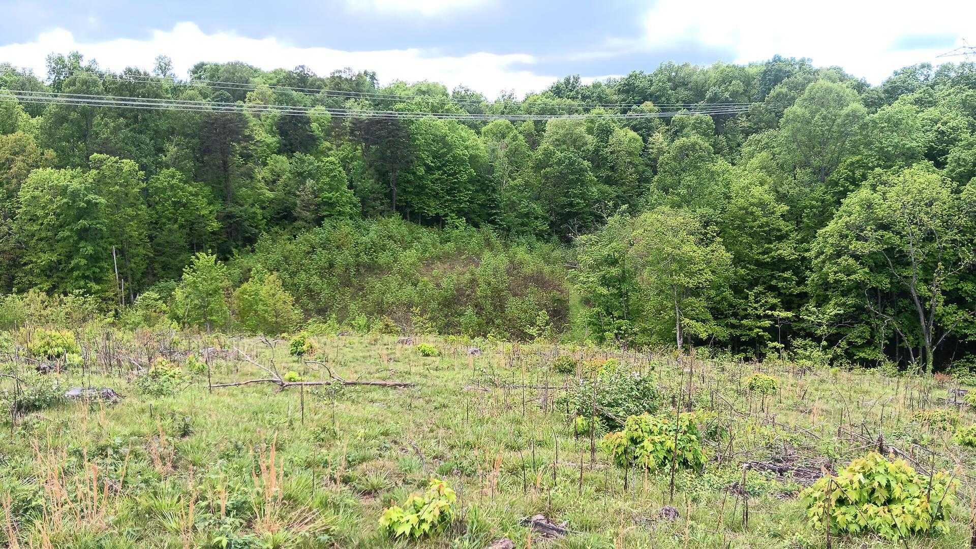 0 Hampton Hollow Road, Unit 7 ACRE TRACT) Langsville, OH 45741 - Photo 45 of 55