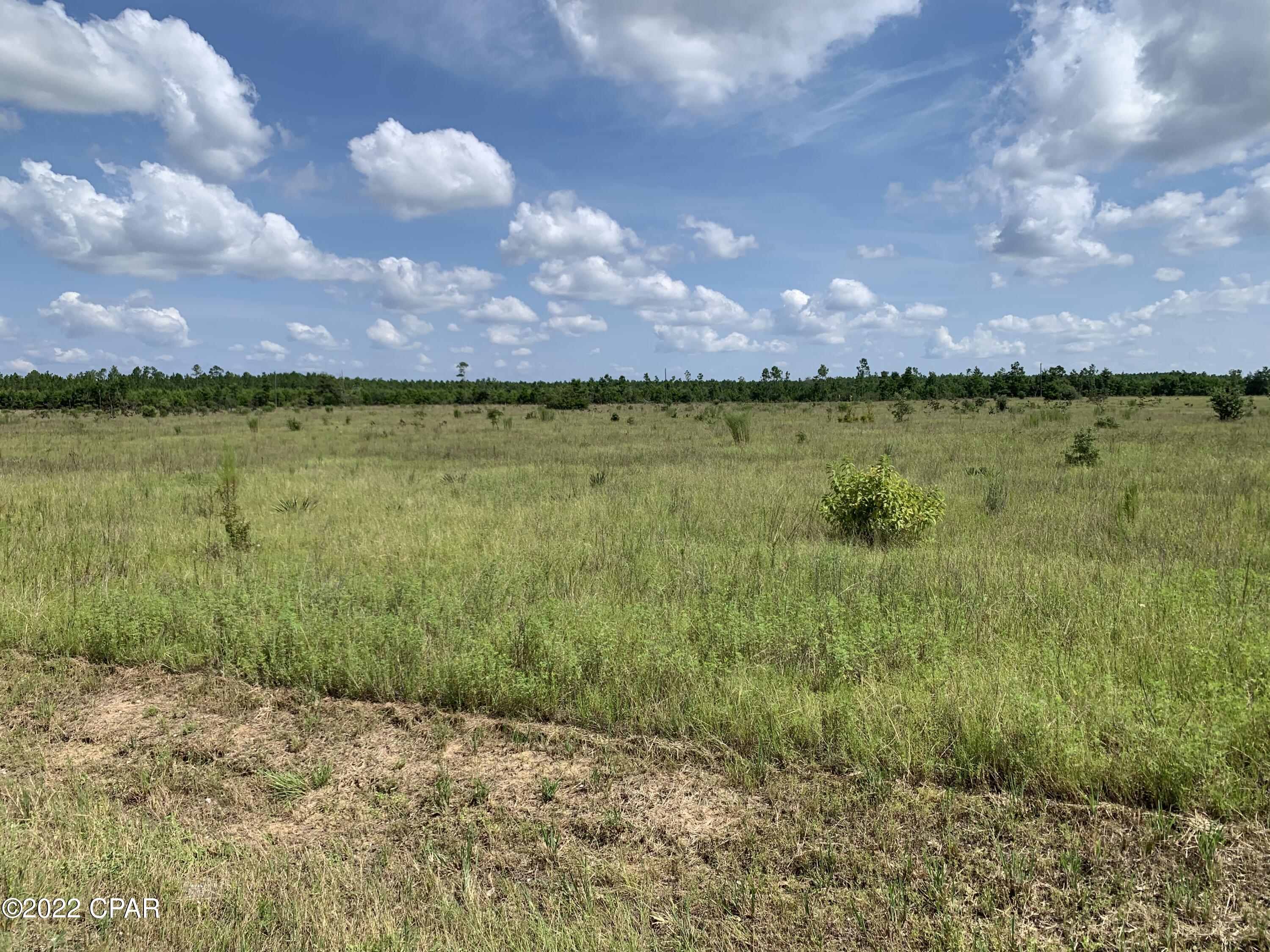 0 Northwest Porter Grade Road Altha, FL 32421 - Photo 5 of 12 Gallery Image 5
