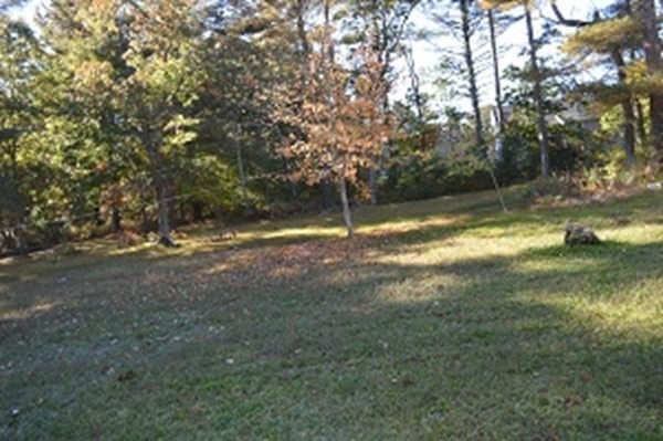 12 Summer Street Wareham, MA 02571 - Photo 4 of 24 a view of a yard with a tree