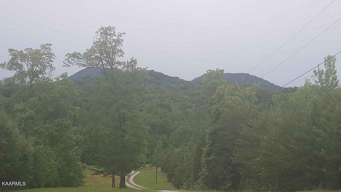 Williams Road Tellico Plains, TN 37385 - Photo 1 of 8 williams 9
