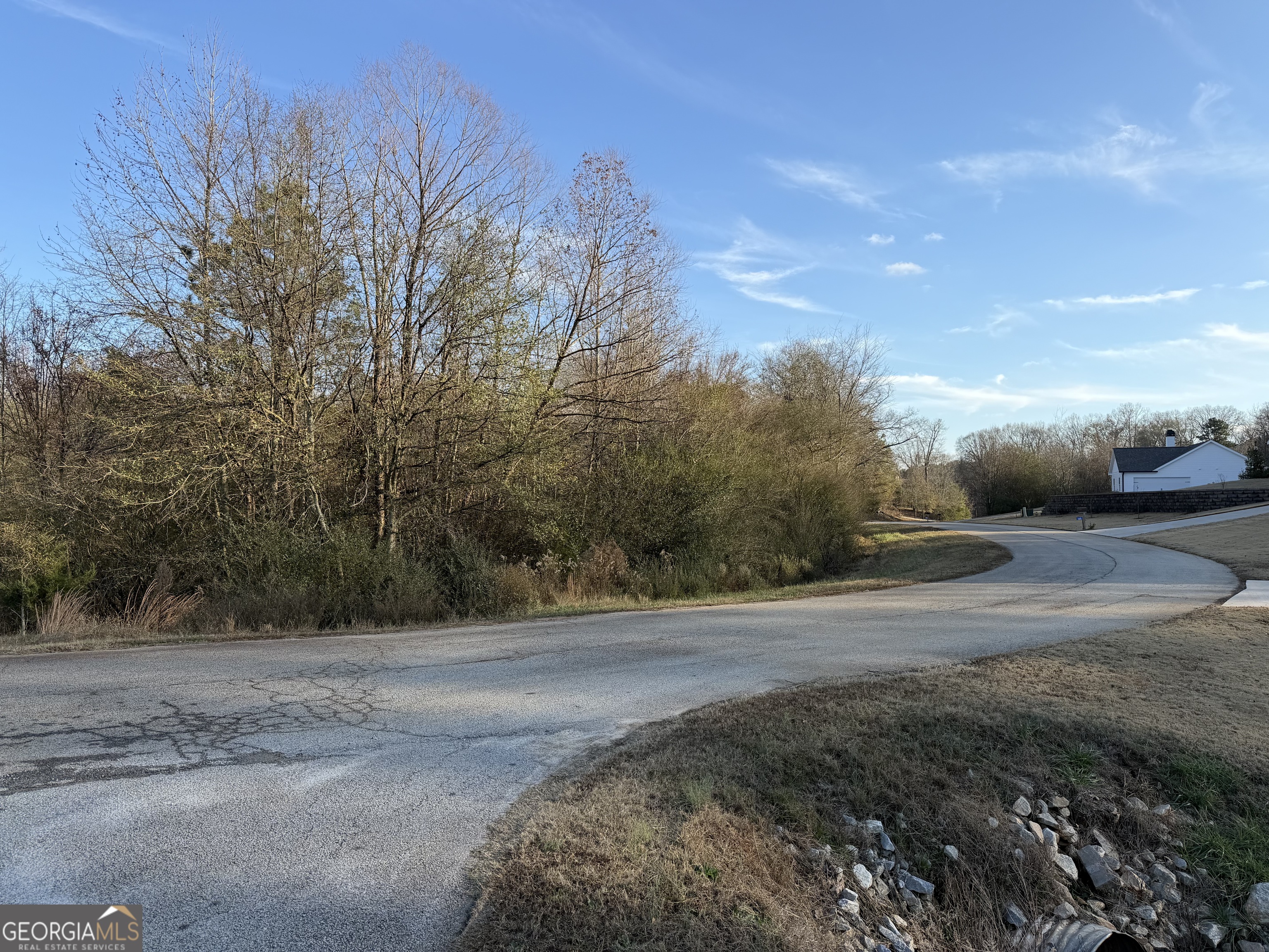 1112 Willis Ridge Hartwell, GA 30643 - Photo 3 of 9