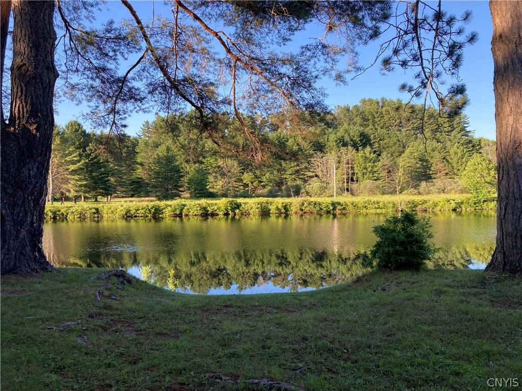 173 Reed Lane Boonville, NY 13309 - Photo 25 of 30